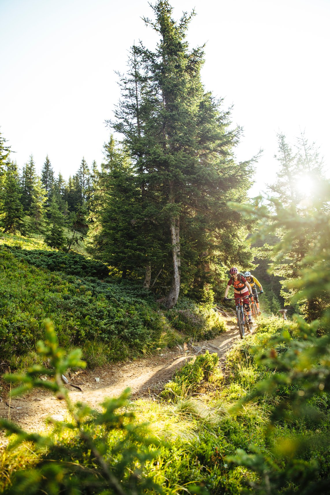 Mountainbiker auf einem sonnigen Waldweg im Saalachtal