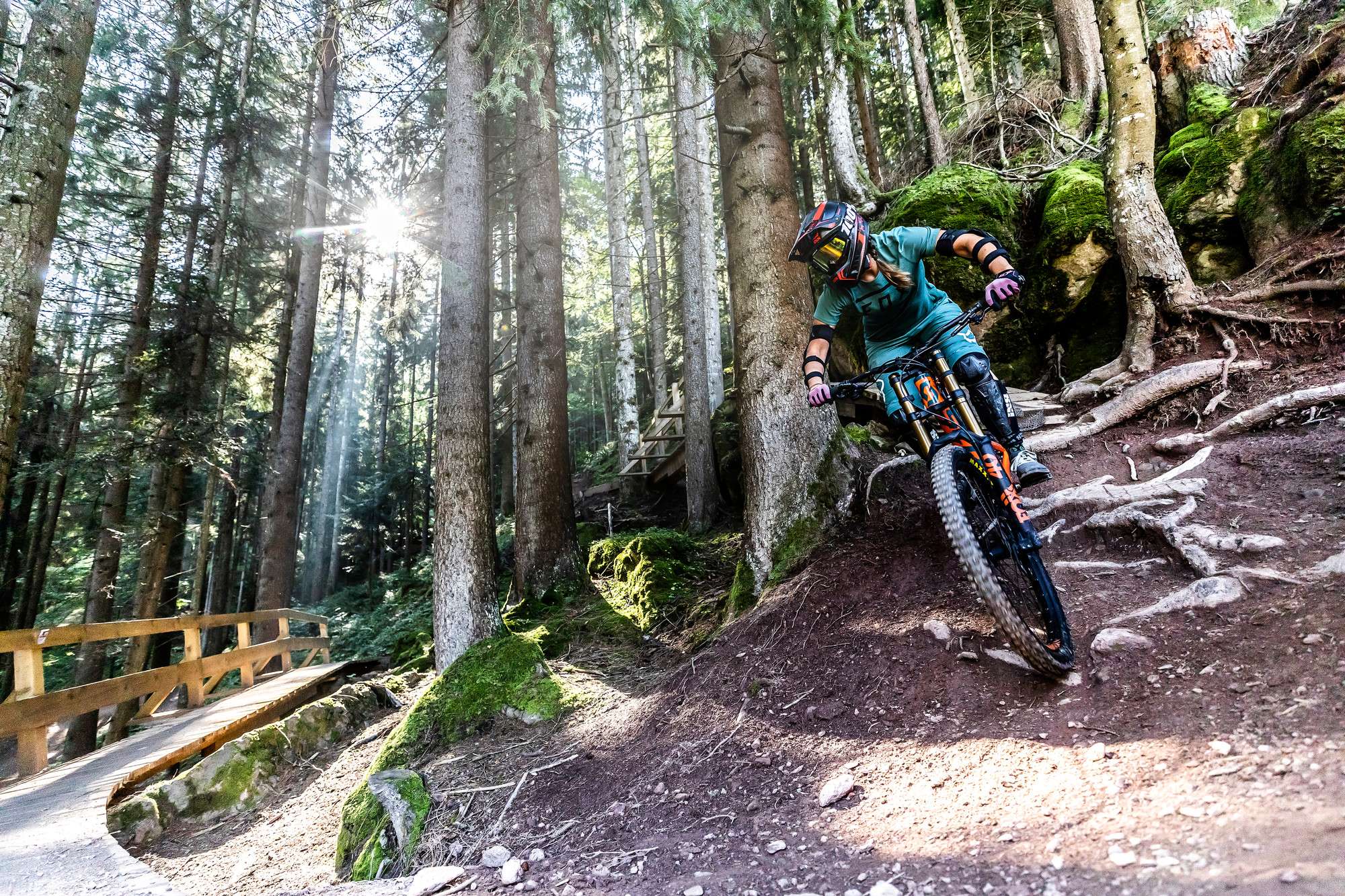 Mountainbiker auf einem Waldweg