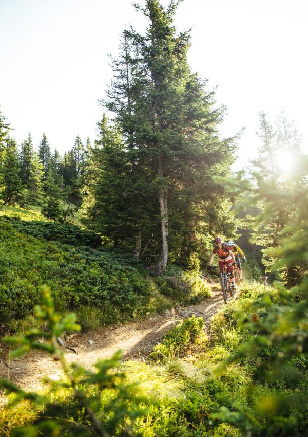 Mountainbiker auf einem sonnigen Waldweg im Saalachtal