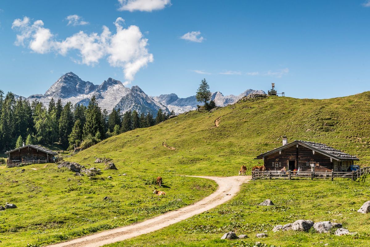 Almhütte mit Wanderweg im Salzburger Saalachtal