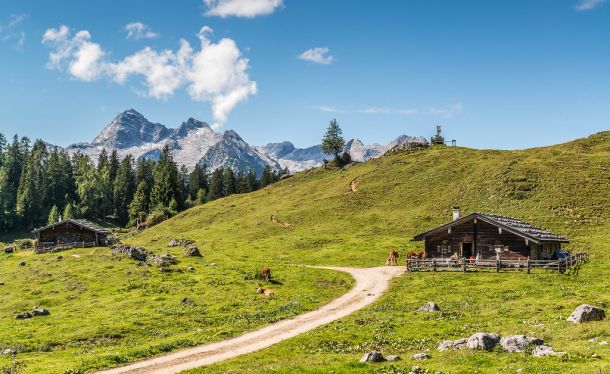 Almhütte mit Wanderweg im Salzburger Saalachtal
